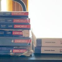 Manuale blu 2.0 matematica,la matematica a colori