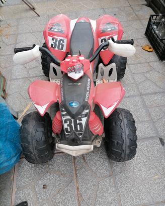 quad polaris