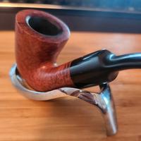 Pipa savinelli giubileo d'oro