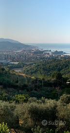 Terreno agricolo con vista mare