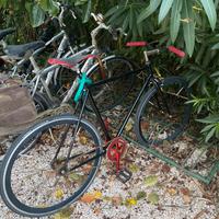 Bici scatto fisso/libero