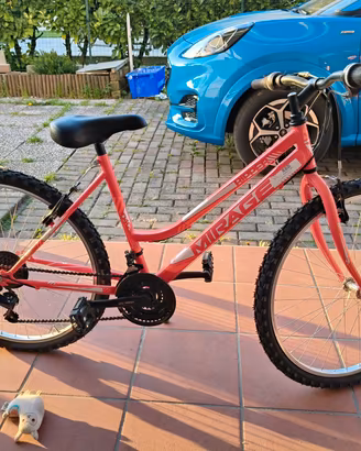 bicicletta 