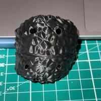 Tartufo per addestramento