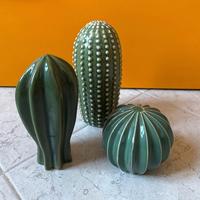 set 3 cactus in ceramica