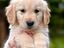 Immagine 23