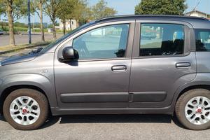 Fiat Panda 1.2 Lounge con meno di 41000 km