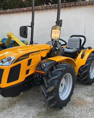 Trattore Pasquali Siena 35 STAGE V nuovo