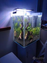acquario 160 litri
