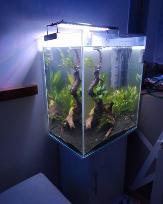 acquario 160 litri