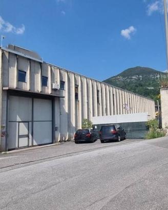 Immobile in asta di 1034 m² a Bione