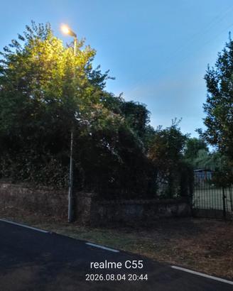 Terreno pianeggiante
