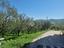 Immagine 15