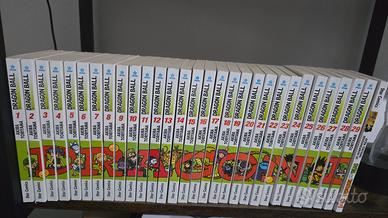Dragon Ball evergreen 