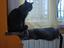 Immagine 6