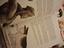 Immagine 2