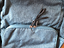 Immagine 2