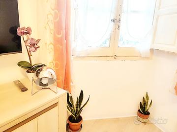 Grazioso monolocale in pieno centro Via Dante