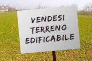 Terreno Residenziale Campodarsego [0493261002VRG]