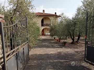 Villetta Bifamiliare