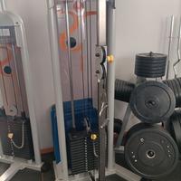 poliercolina teca fitness 