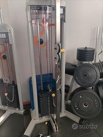 poliercolina teca fitness 