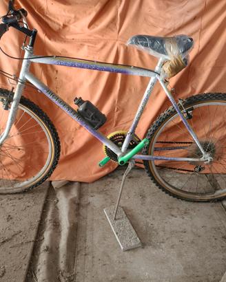 Mountain bike