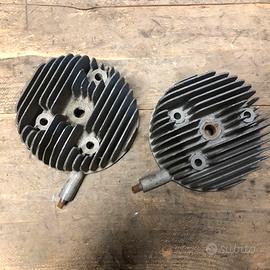 Testa vespa bacchetta