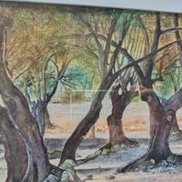 ombre tra gli ulivi. dipinto con acquerelli.