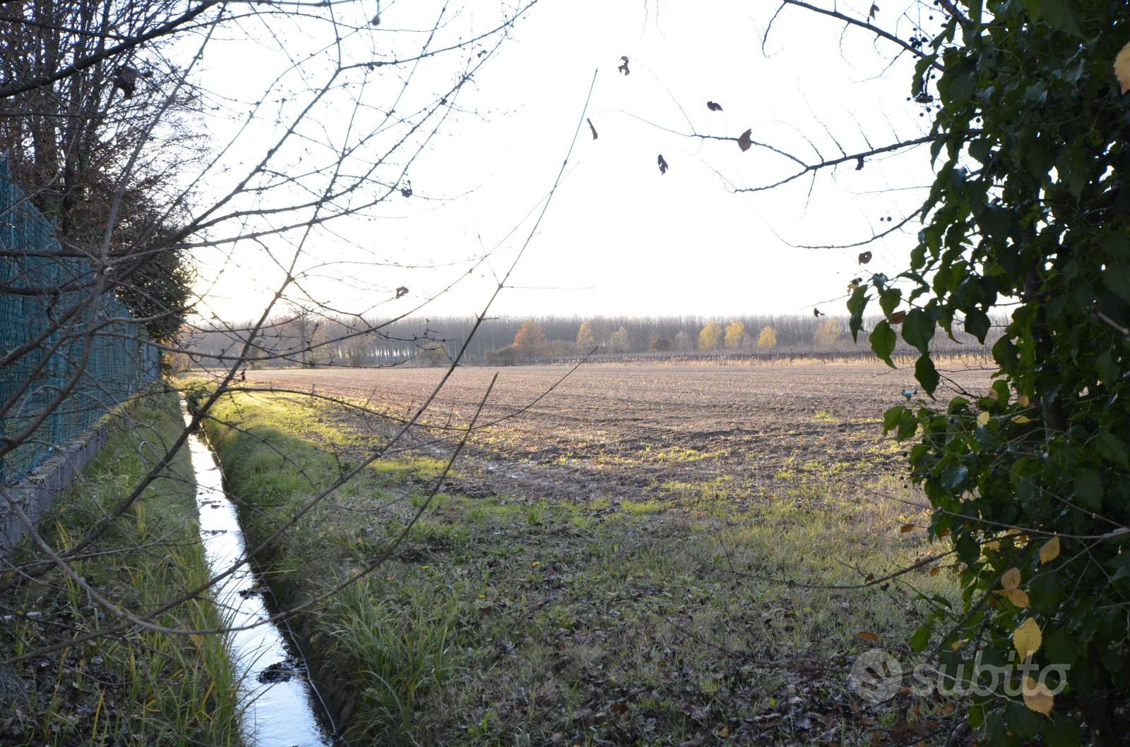 Terreno agricolo - Vista 5