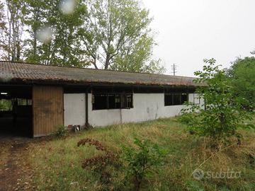 Capannone e terreno a San Bonifacio (VR)