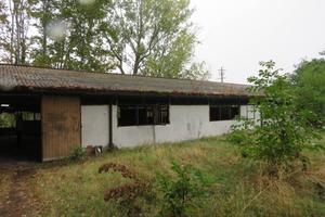 Capannone e terreno a San Bonifacio (VR)