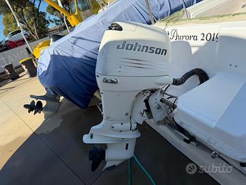 Fuoribordo johnson 115cv