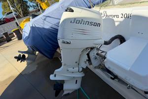 Fuoribordo johnson 115cv