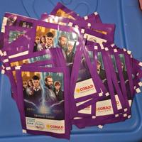 Lotto 56 pacchetti card Harry Potter Conad 2024