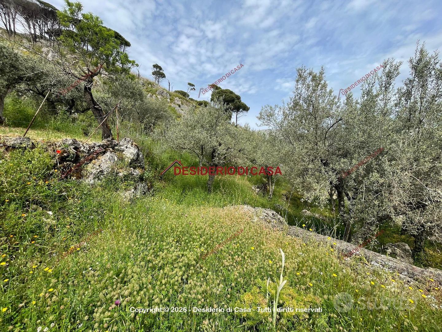 Terreno, Monreale. - Vista 2