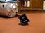 Immagine 7