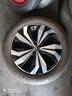 volkswagen-