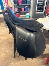 Sella winner by sartore