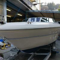 ? Sea Ray 190 Bow Rider