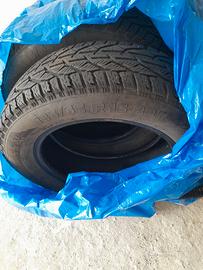 Gomme invernali