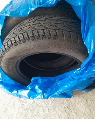 Gomme invernali