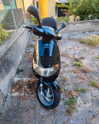 scooter skipper 125 
