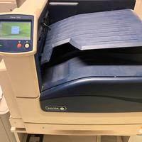 Stampante xerox Phaser 7800