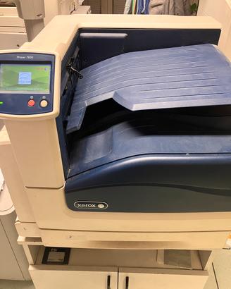 Stampante xerox Phaser 7800
