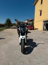 Benelli  Bn 302s