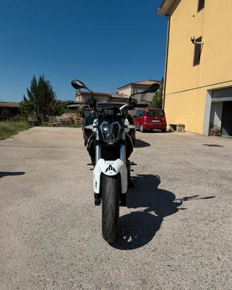 Benelli  Bn 302s