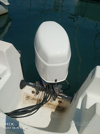 Fuoribordo SELVA Barracuda 40 cv 4 tempi