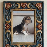 Beagle