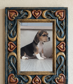 Beagle
