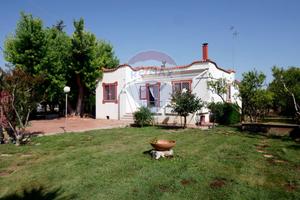 Villa o villino - Bitonto